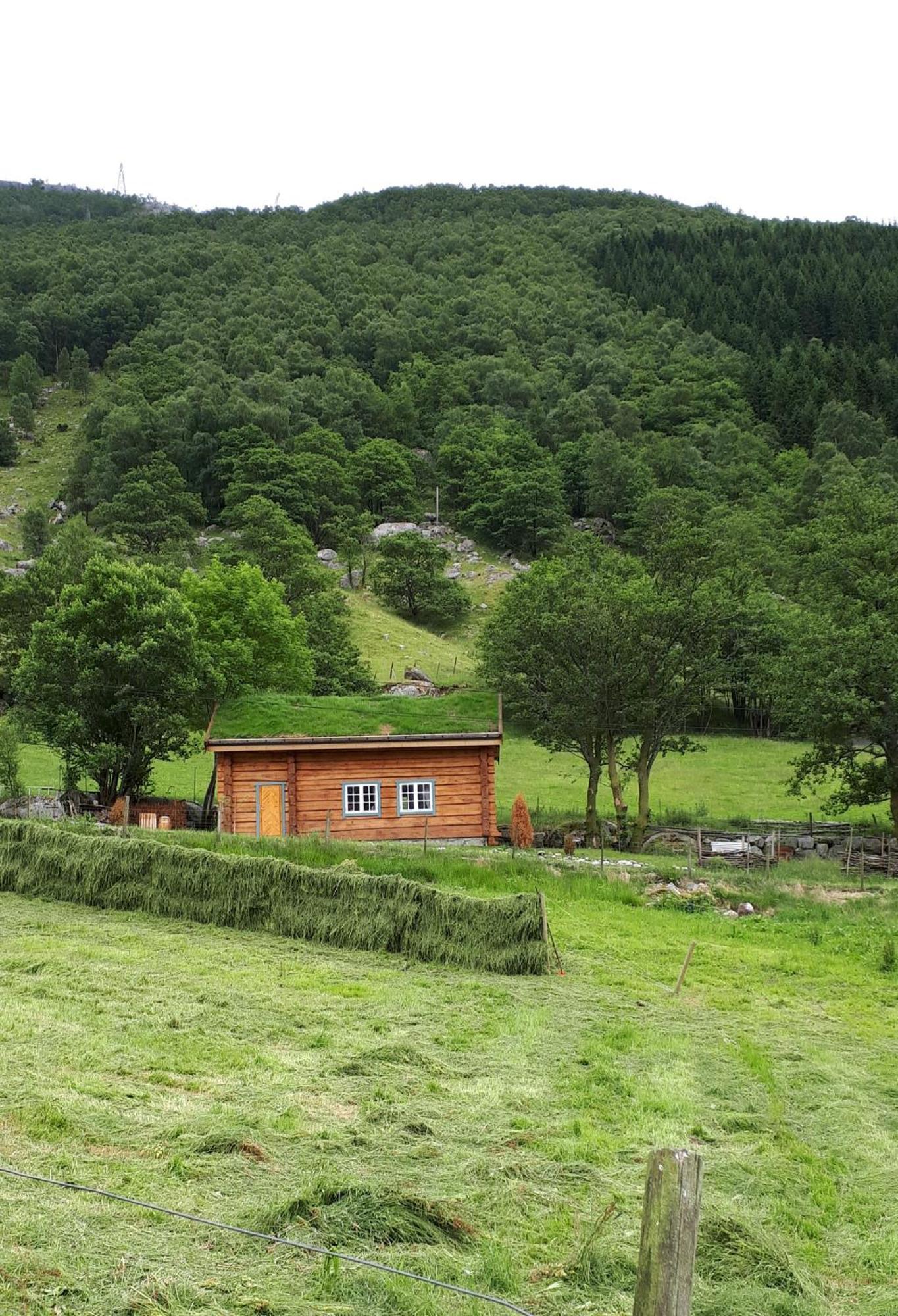 Hytte Ved Preikestolen Forsand Exterior foto